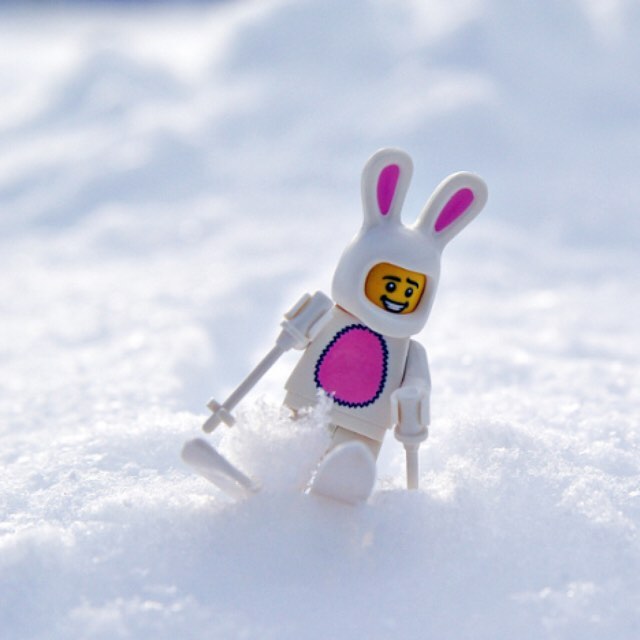 #HappyEaster snow bunnies! 